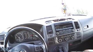 A cute girl hitchhikes, gets fucked on the way in a car