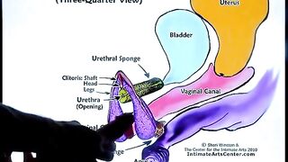 The best way to make a woman squirt - a step-by-step guide by Mr PussyLicking