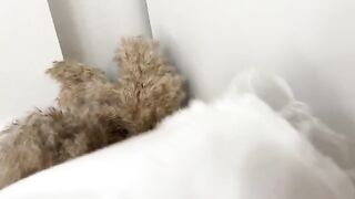 Sniffed panties and fucked a curvy woman in her wet pussy, a steamy scene from Real Orgasm