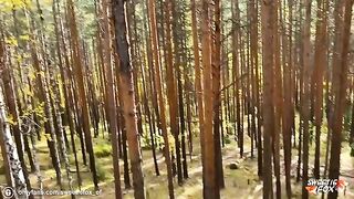Brunette babe gets her pussy pounded in the woods and gets cum on her face