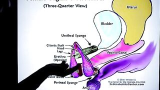 How to Squirt?! Explained Fast!!! by Mr. PussyLicking, the ultimate cunilingus enthusiast who lives and breathes female pleasure