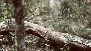 A girl is having fun with two guys in a wild threesome