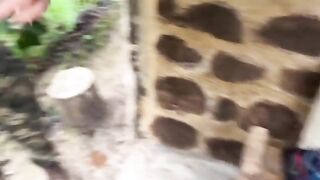 Couple caught fucking in the jungle, OMG!