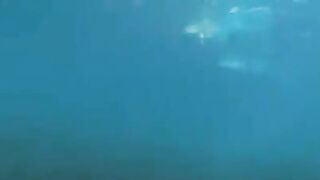 Underwater sex of two aqualangists at sea bottom