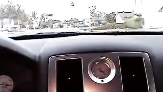Blonde beauty gives a blowjob in her car