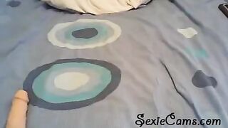The girl checks her new toy and webcam on the internet