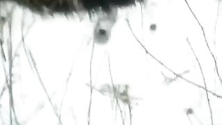 Winter Blowjob Scene - A sexy girl was sucking cock on the street