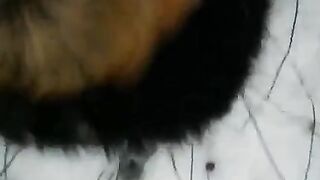 Winter Blowjob Scene - A sexy girl was sucking cock on the street