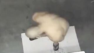 A hot naked guy was seen in the shower by a hidden camera