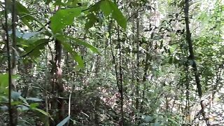 Fresh air and her warm lips on my cock in outdoor action