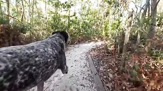 A girl has sex with her guy in a jungle setting