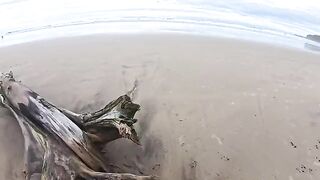The girl is not ashamed to have sex on the beach and masturbate publicly