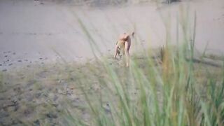 Real amateur voyeur video with big ass action on the nudist beach